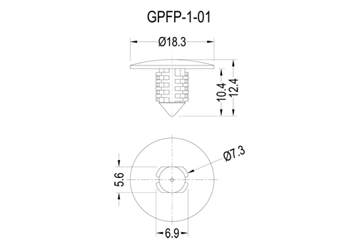 GPFP-1 2D 503X350.jpg